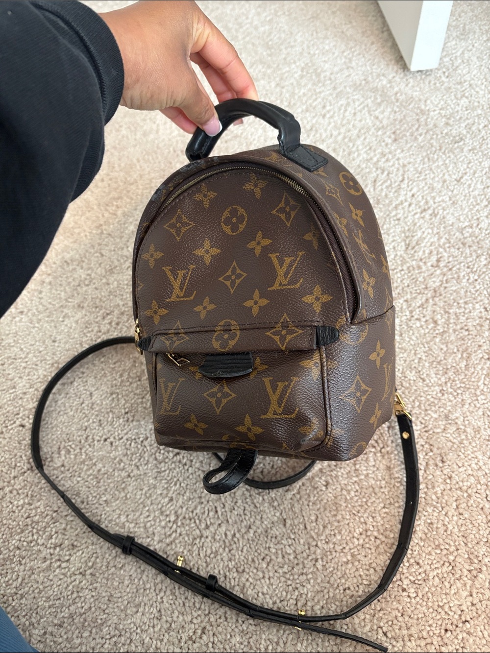 Louis Vuitton Palm Springs Mini Backpack Monogram